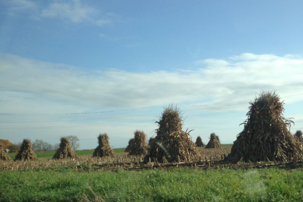 Photo of Outdoor in New Wilmington