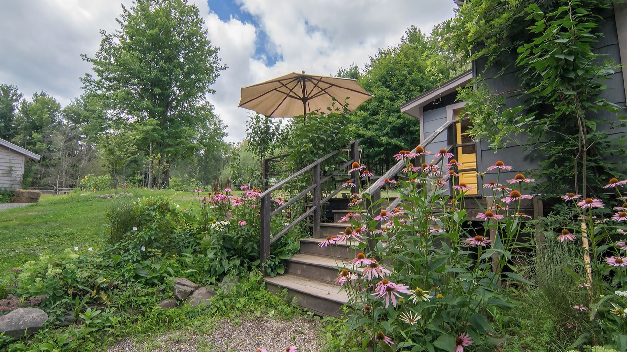 Photo of Outdoor in Woodridge