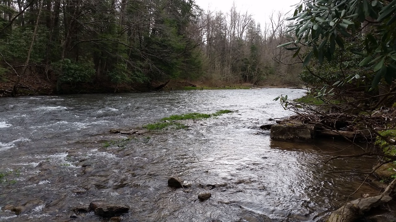 Photo of Others in French Creek