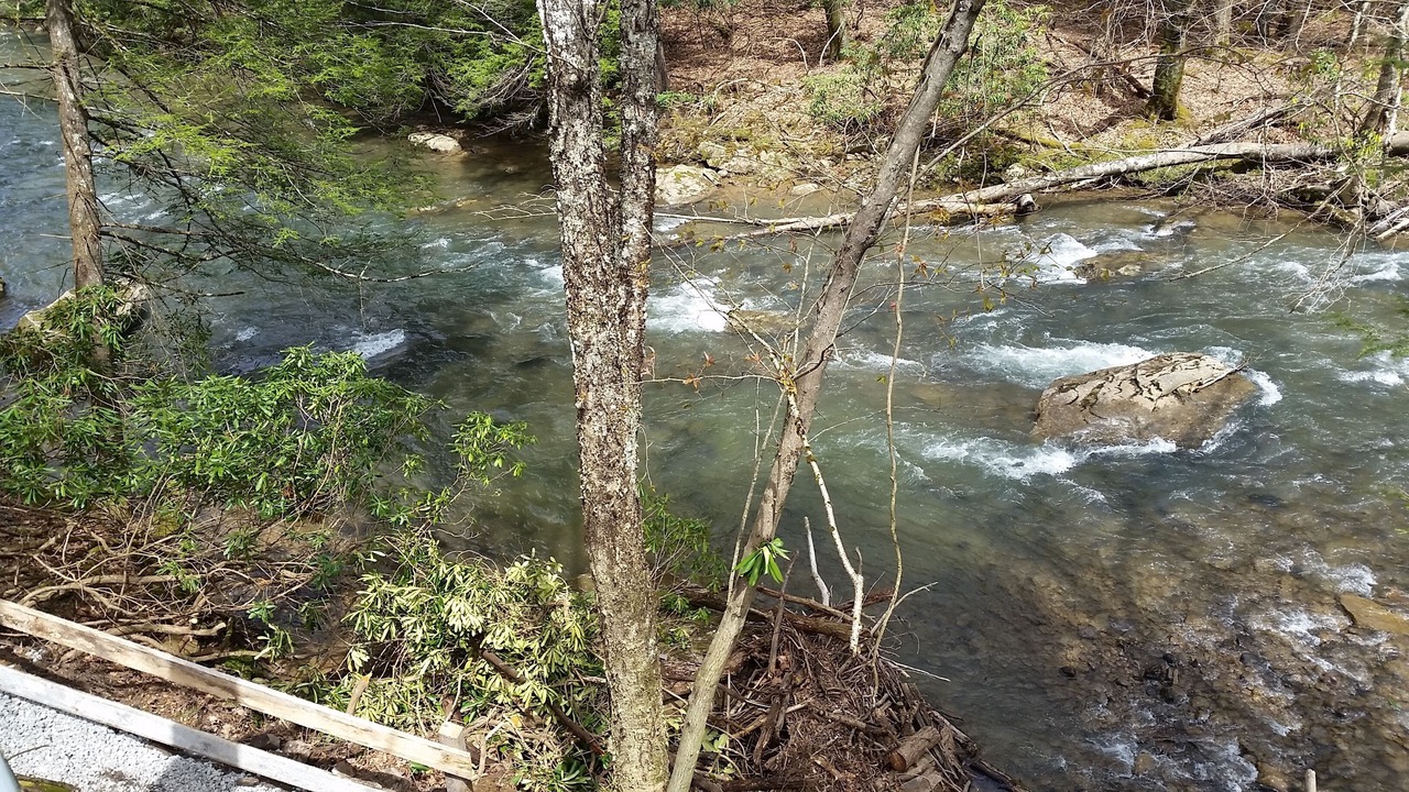 Photo of Outdoor in French Creek