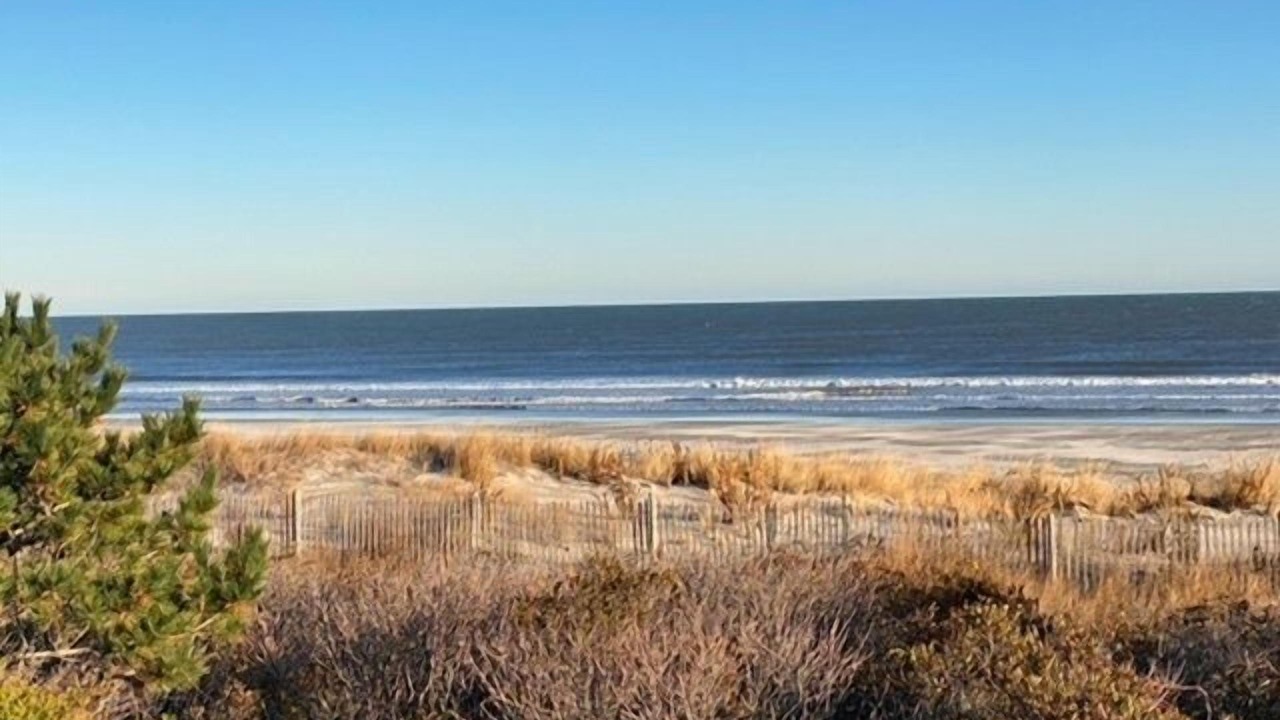 Photo of Others in Sea Isle City