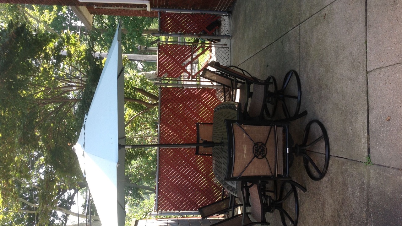 Photo of Patio Balcony in East Flushing