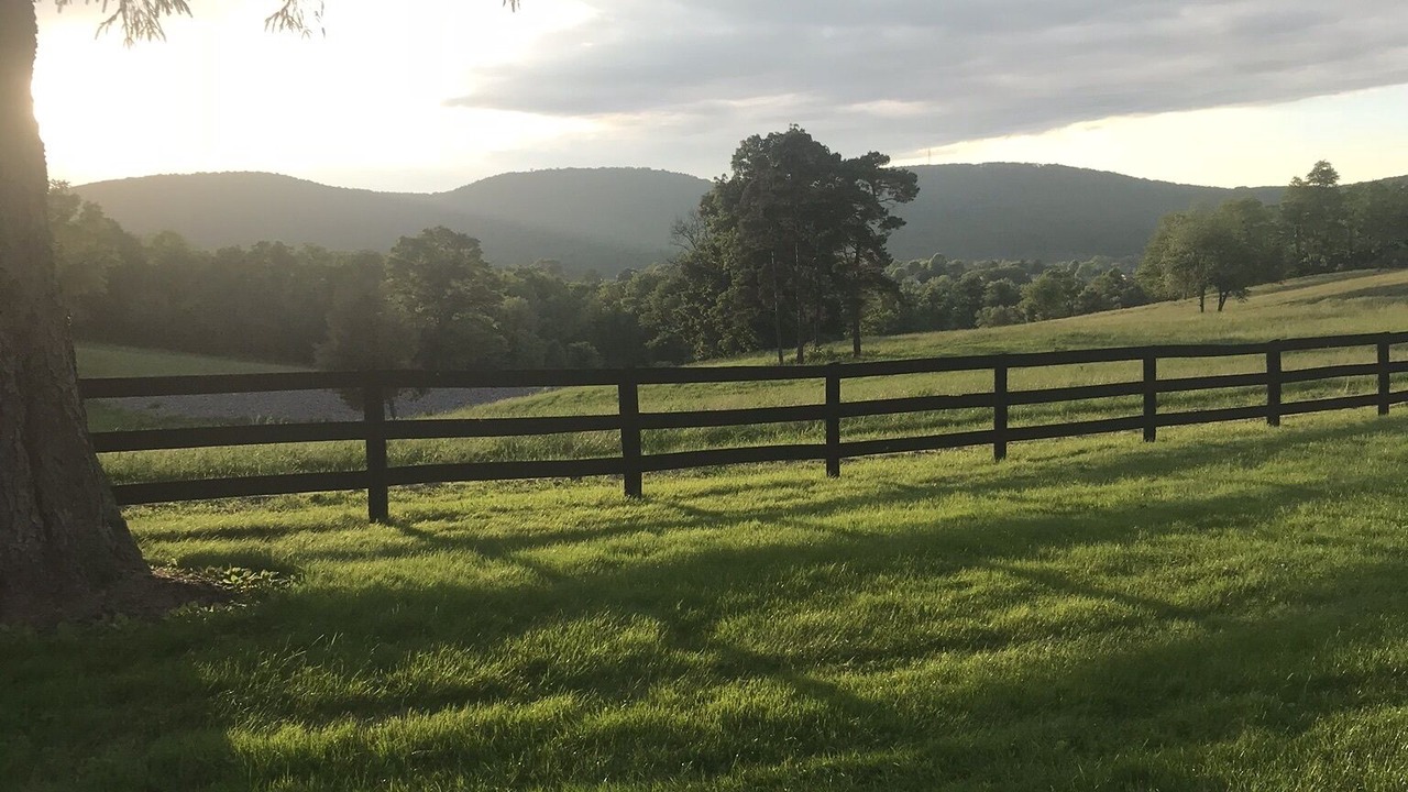 Photo of Outdoor in Dillsburg