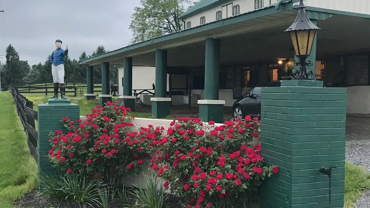 Photo of Outdoor in Dillsburg