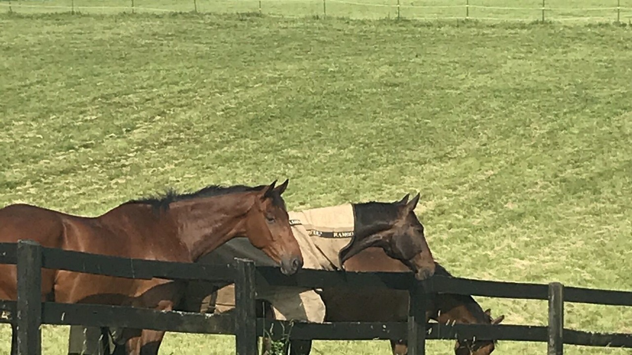 Photo of Outdoor in Dillsburg