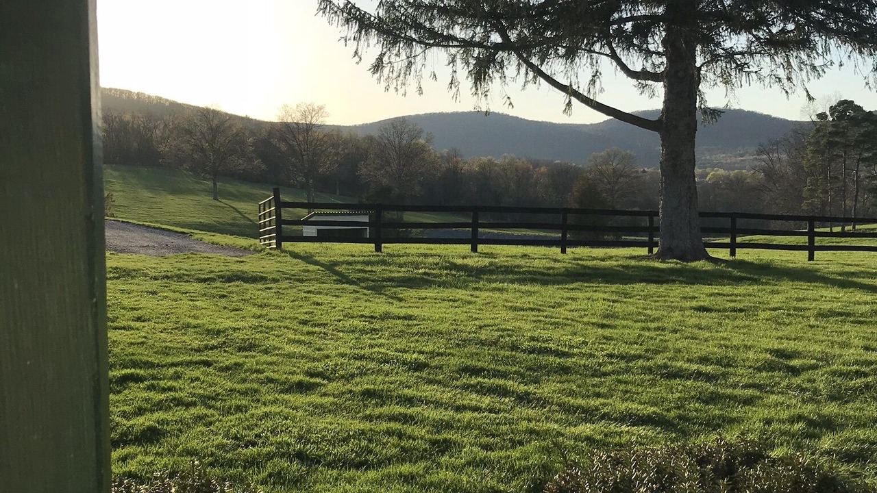 Photo of Outdoor in Dillsburg