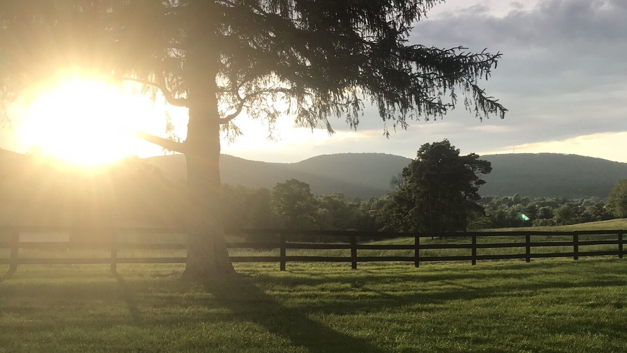 Photo of Outdoor in Dillsburg
