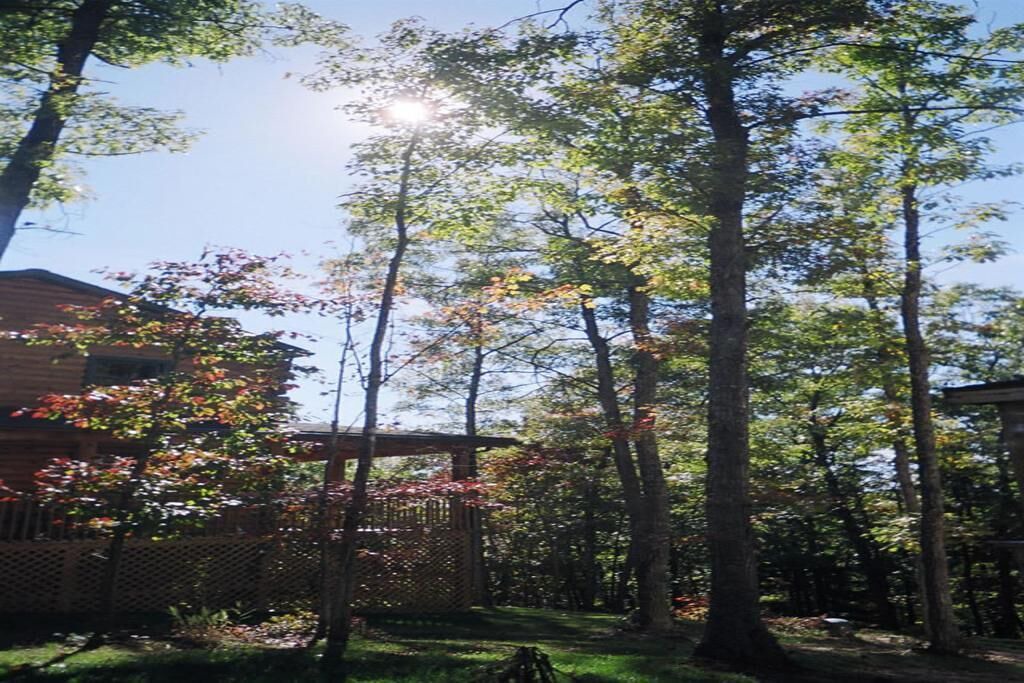 Photo of Outdoor in True