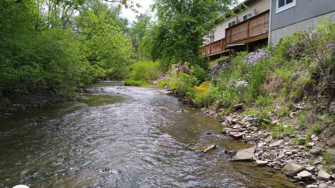 Photo of Outdoor in Port Matilda