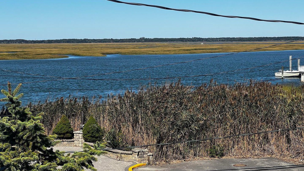Photo of Others in Townsend's Inlet
