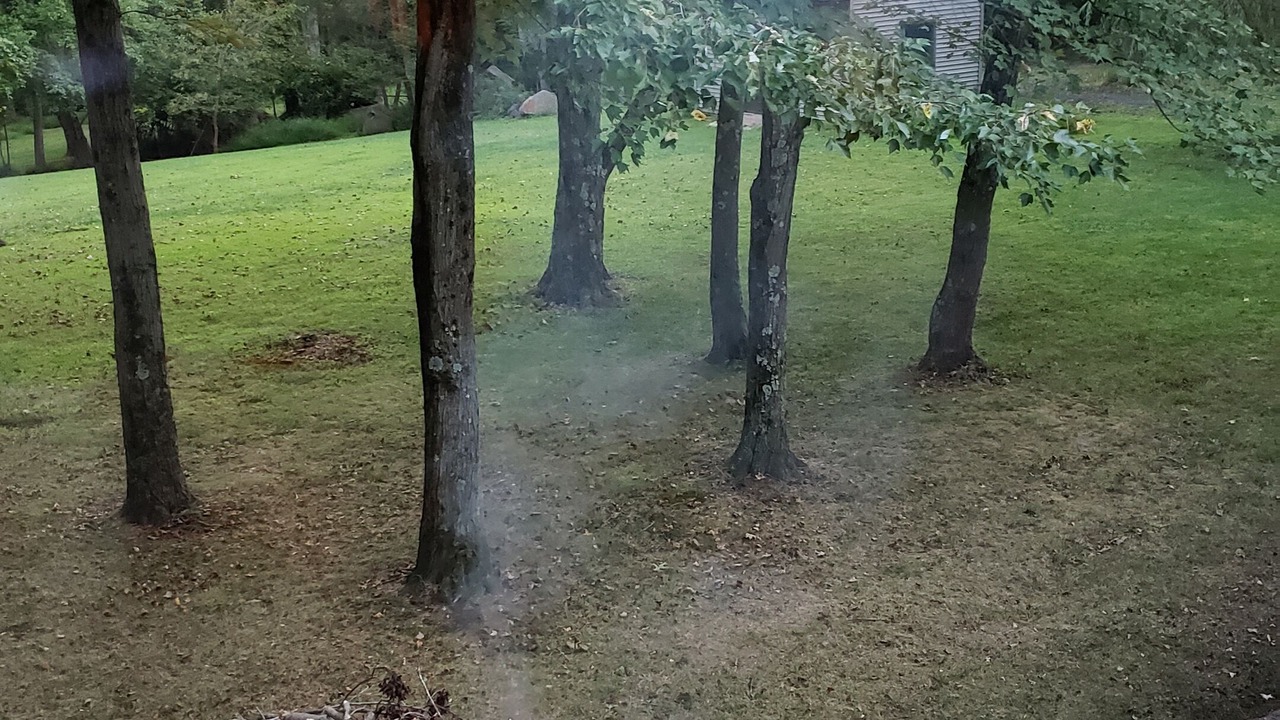 Photo of Outdoor in Monroe Township