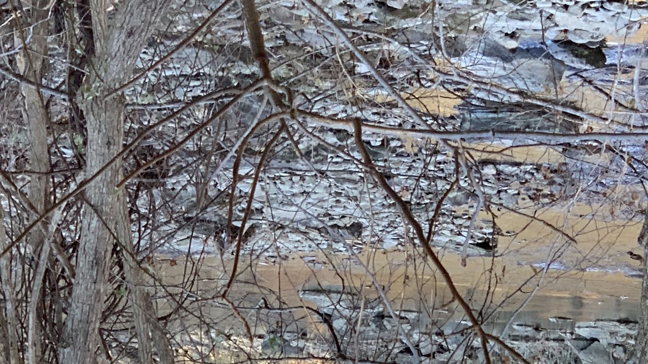 Photo of Others in Upper Tract