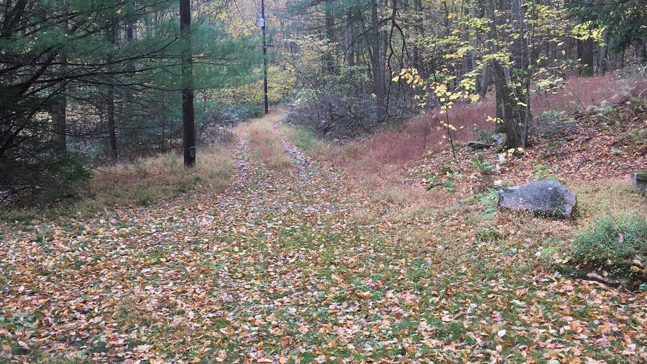 Photo of Outdoor in Mifflinburg