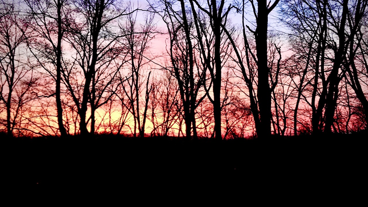 Photo of Outdoor in Phoenixville