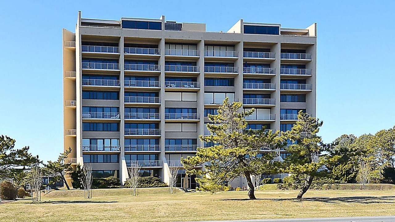 Photo of Others in North Shores