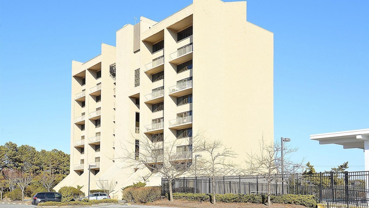 Photo of Others in North Shores