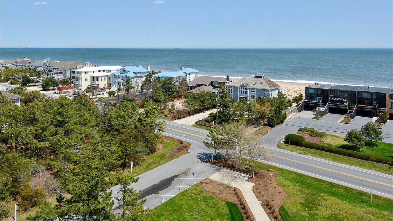 Photo of Others in North Shores