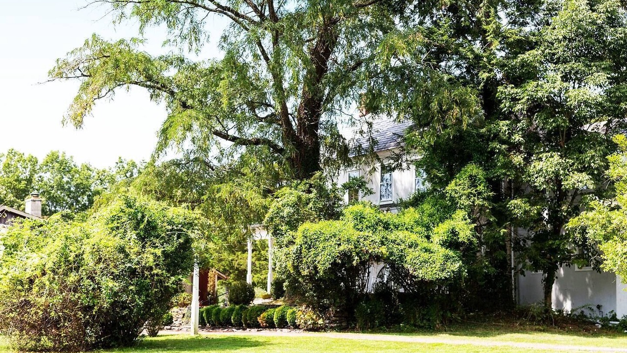 Photo of Outdoor in Baptistown