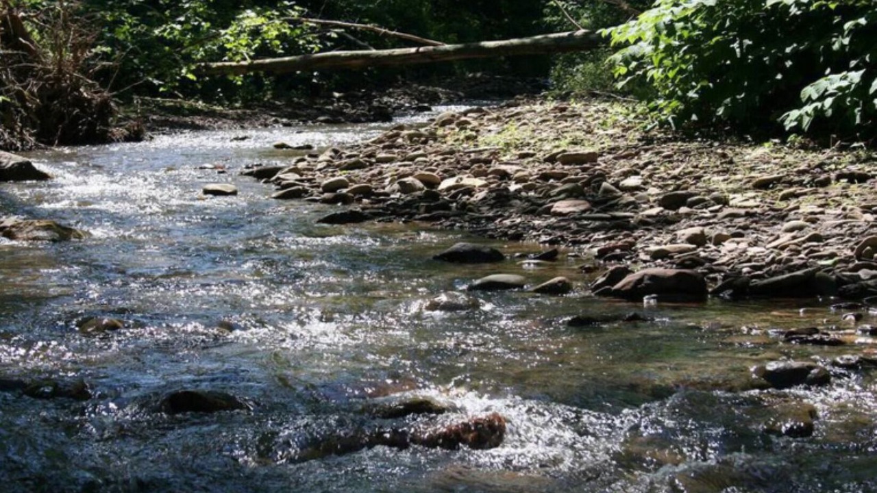 Photo of Outdoor in Morris