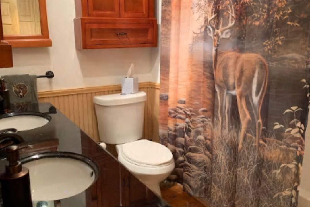 Photo of Bathroom in Morris