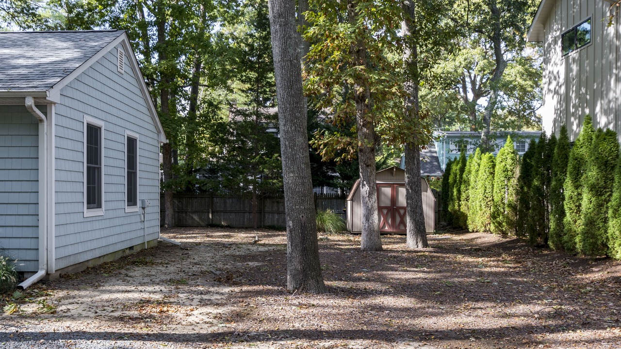 Photo of Outdoor in The Pines