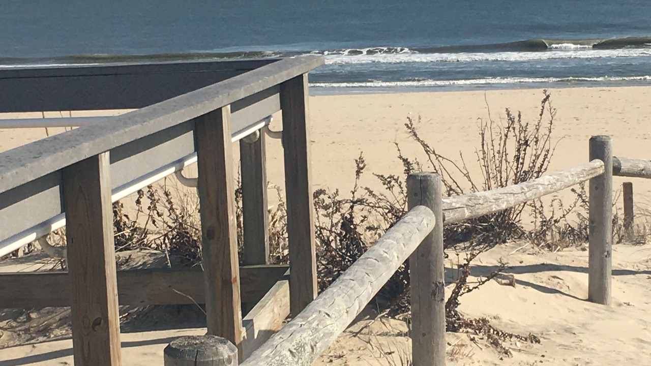 Photo of Others in Harvey Cedars