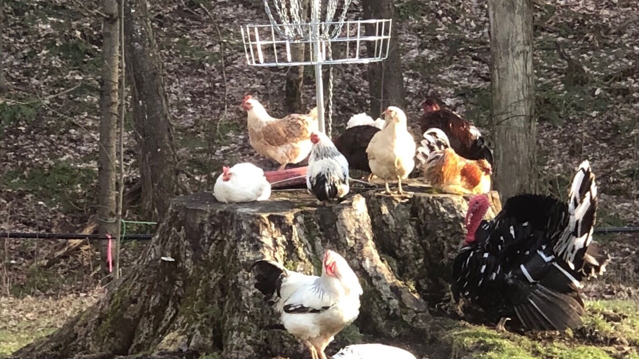 Photo of Outdoor in Hartstown