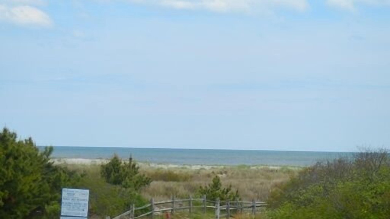 Photo of Others in Avalon