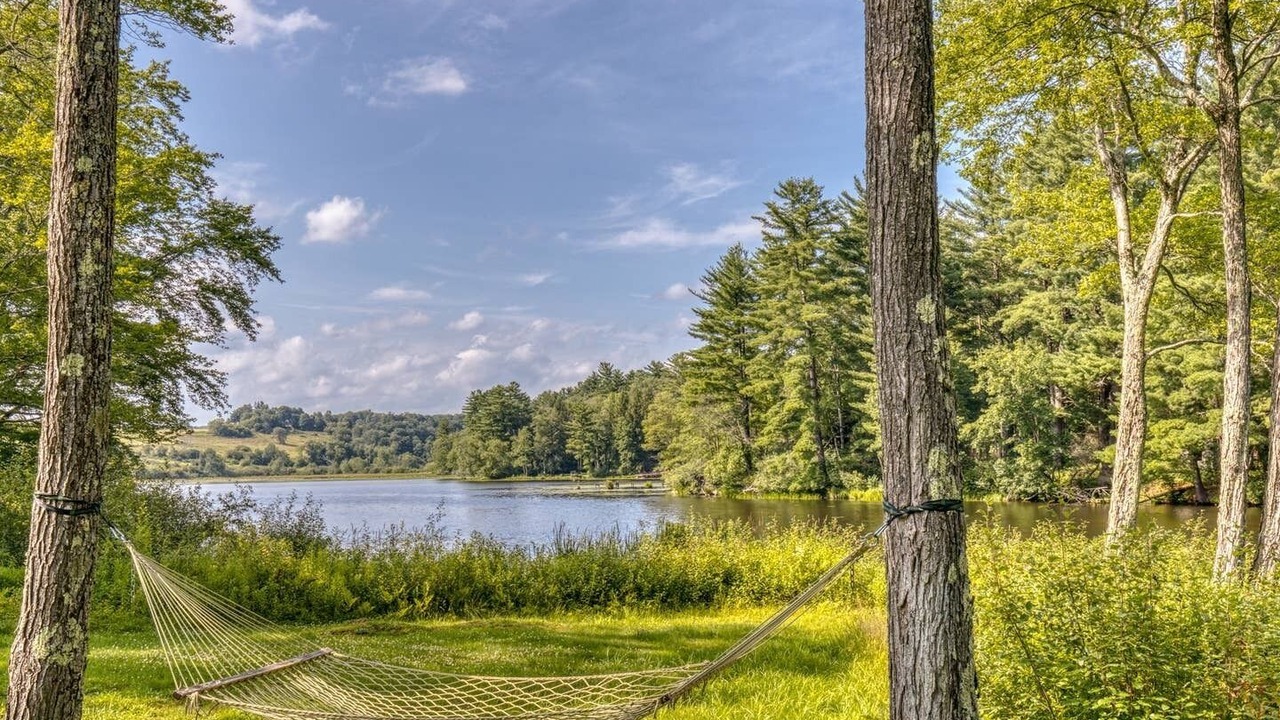 Photo of Outdoor in Swan Lake