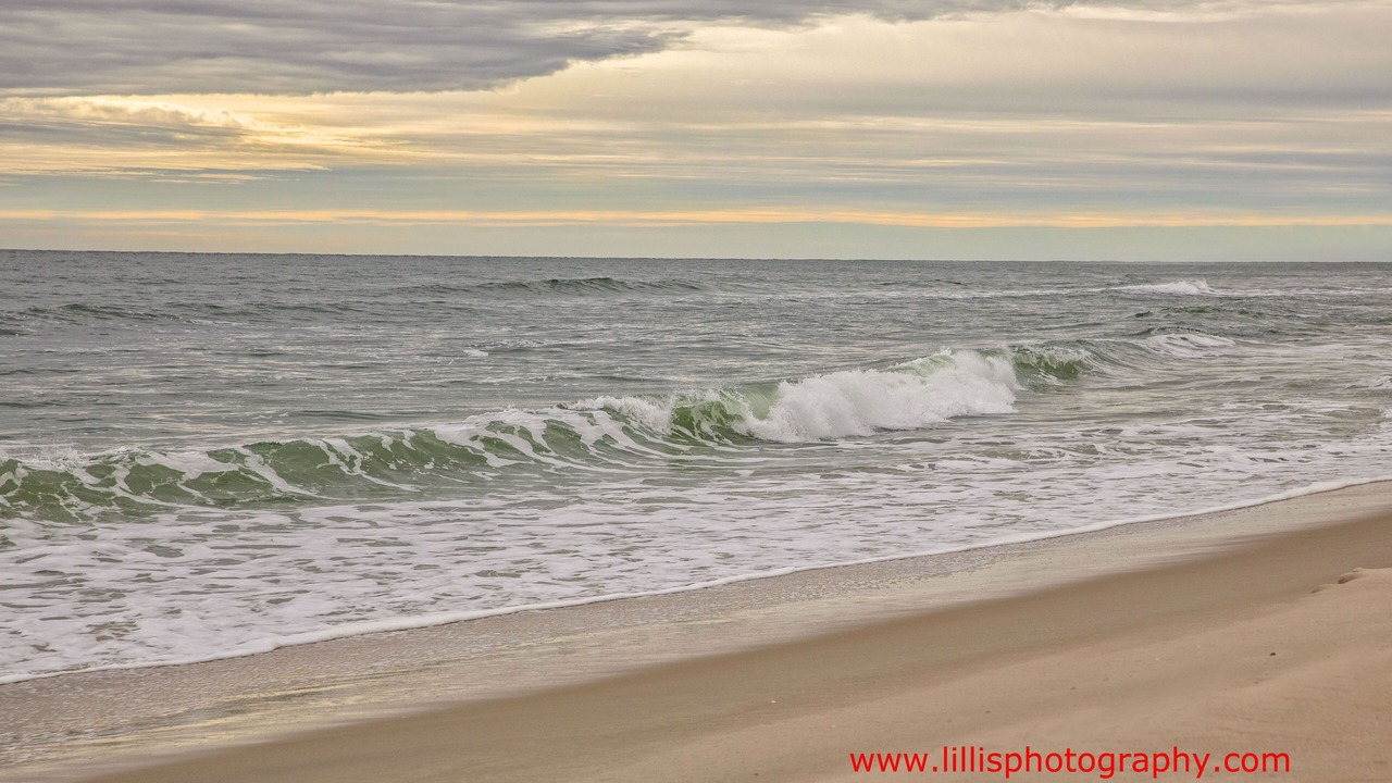 Photo of Others in North Ocean City