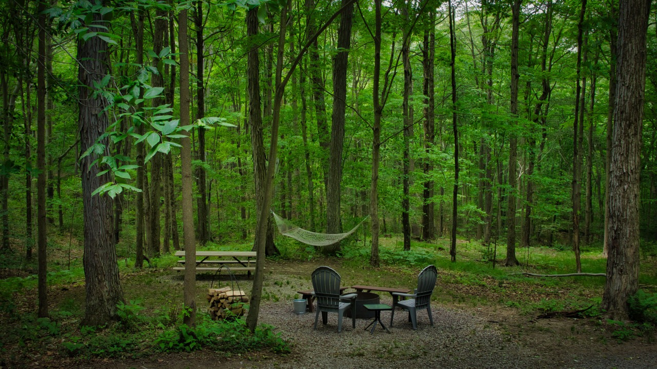 Photo of Outdoor in Kantner