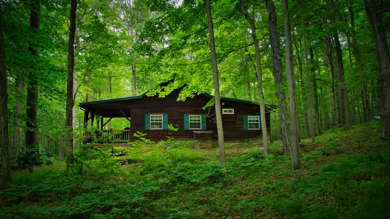 Photo of Outdoor in Kantner
