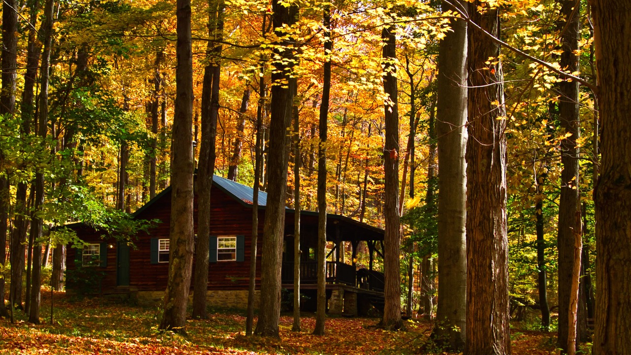 Photo of Outdoor in Kantner