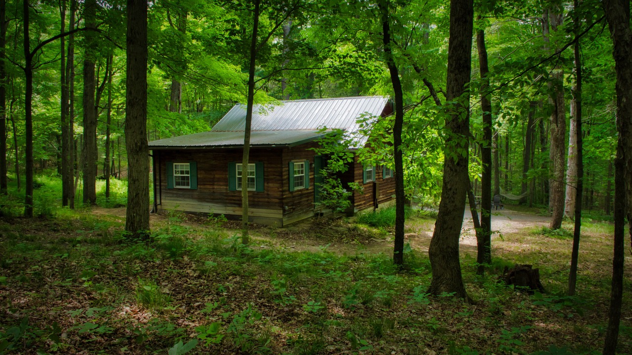 Photo of Outdoor in Kantner