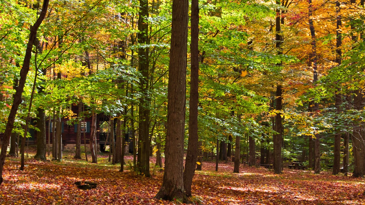 Photo of Outdoor in Kantner