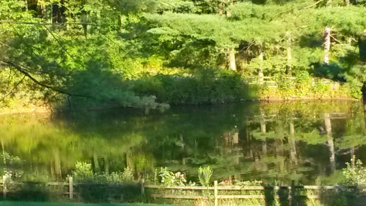 Photo of Outdoor in Limekiln