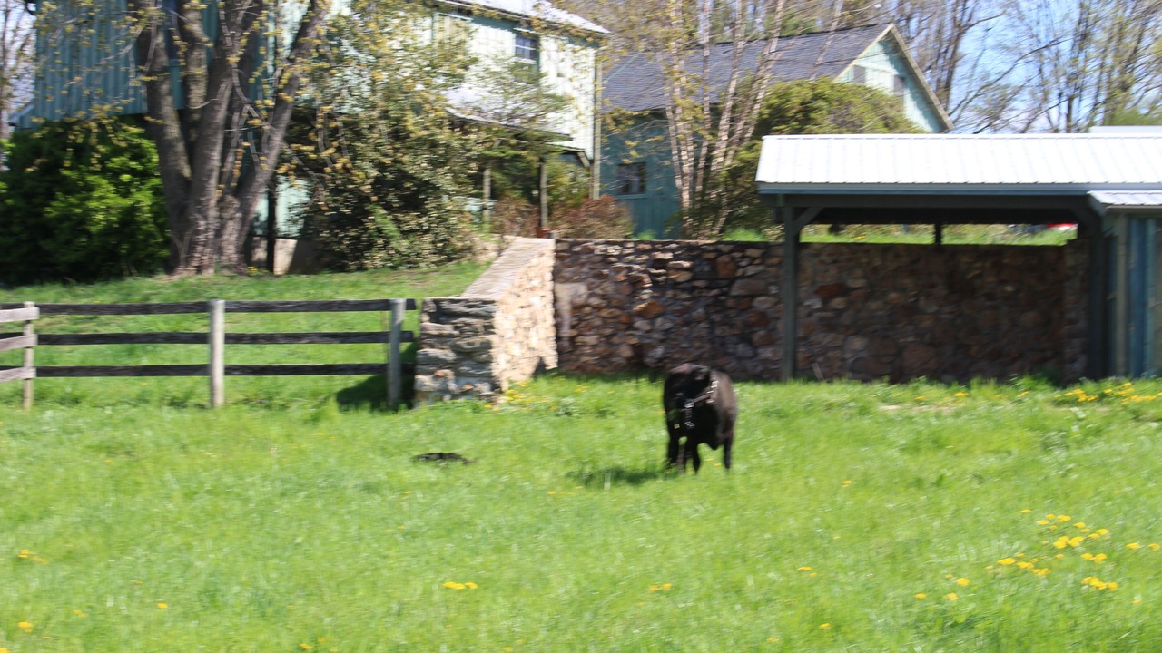 Photo of Outdoor in Jarrettsville