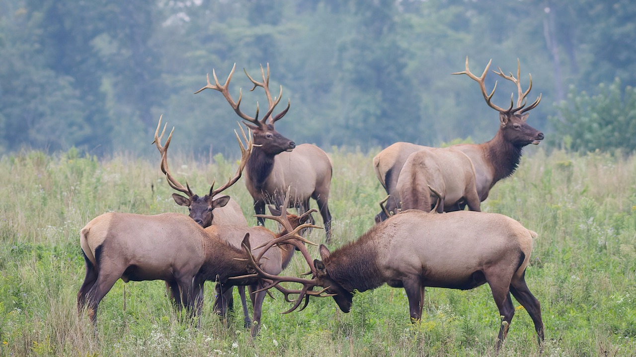 Photo of Others in Weedville