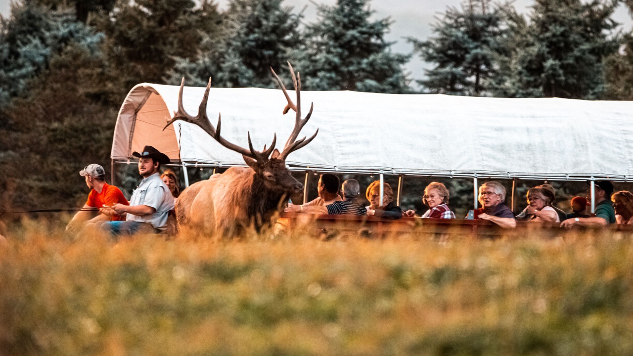Photo of Outdoor in Weedville