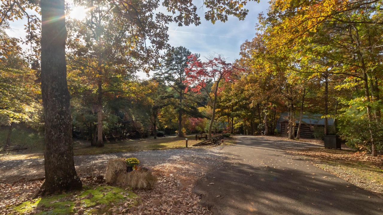 Photo of Outdoor in Copperhill