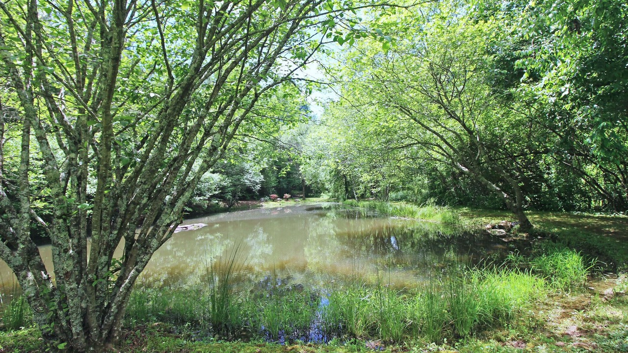 Photo of Outdoor in Copperhill
