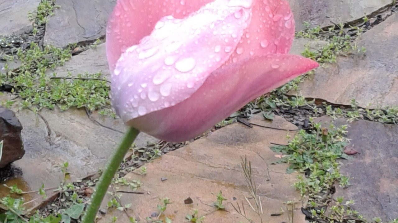 Photo of Outdoor in Clarksville