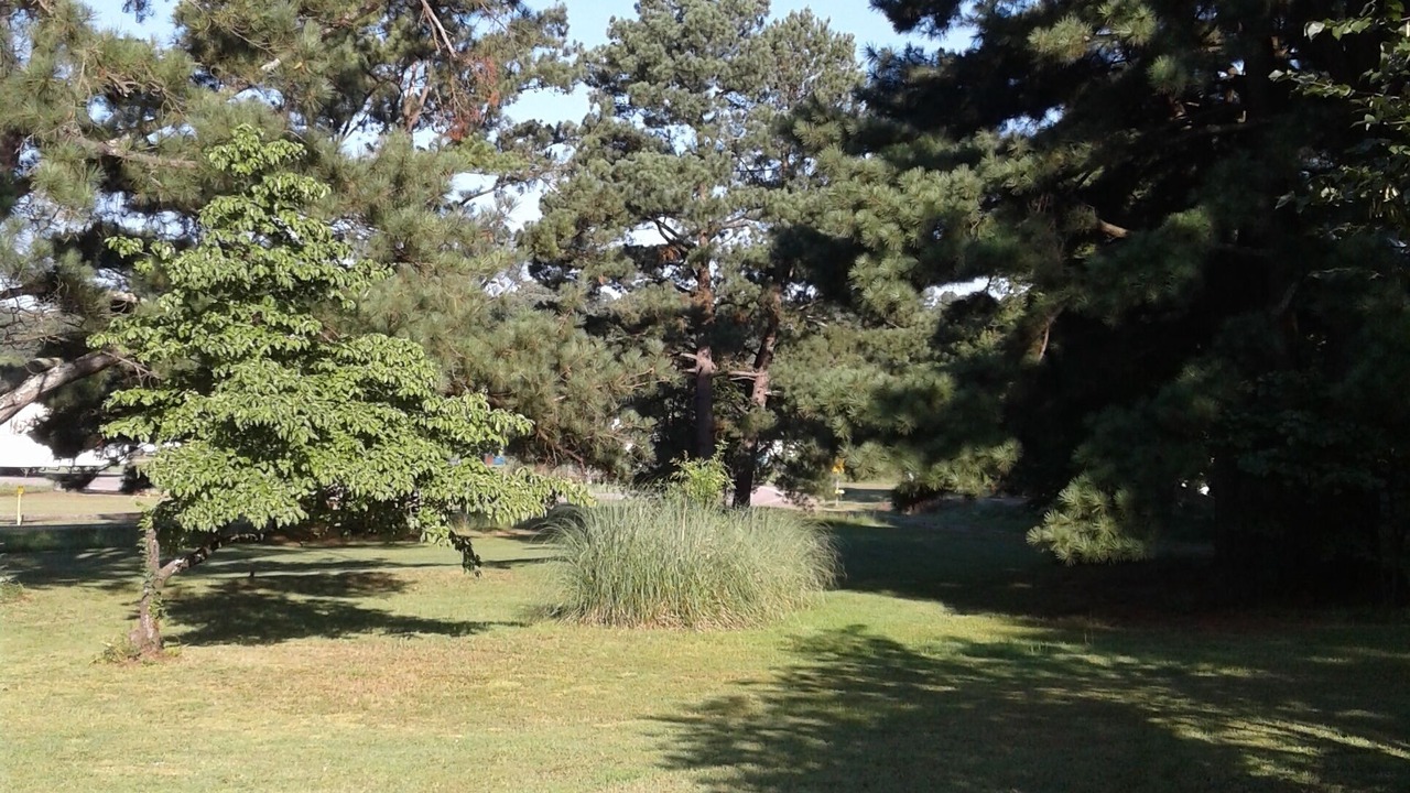 Photo of Outdoor in Clarksville