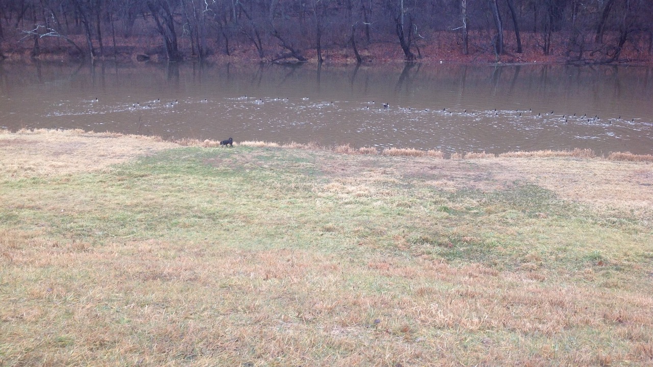Photo of Others in Cumberland