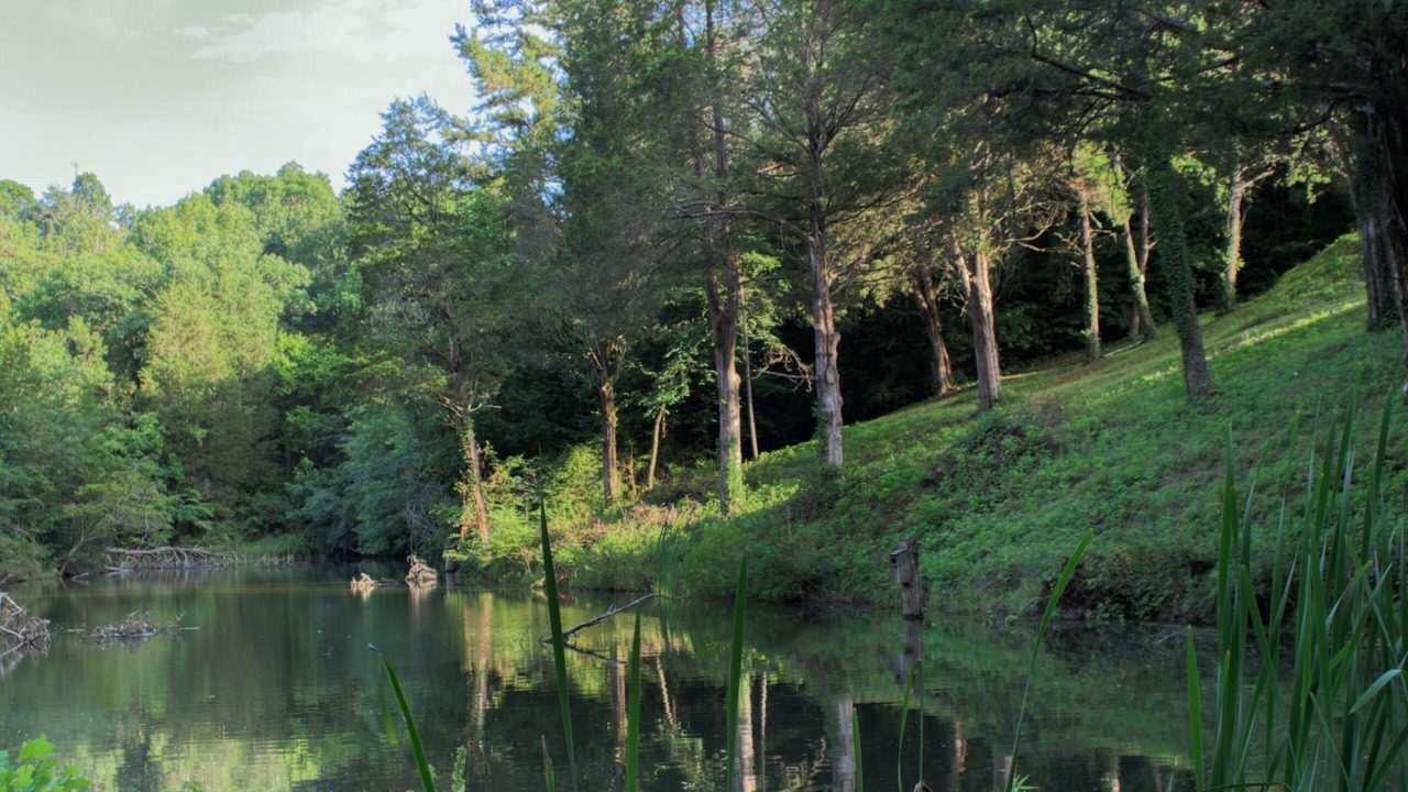 Photo of Outdoor in Knoxville