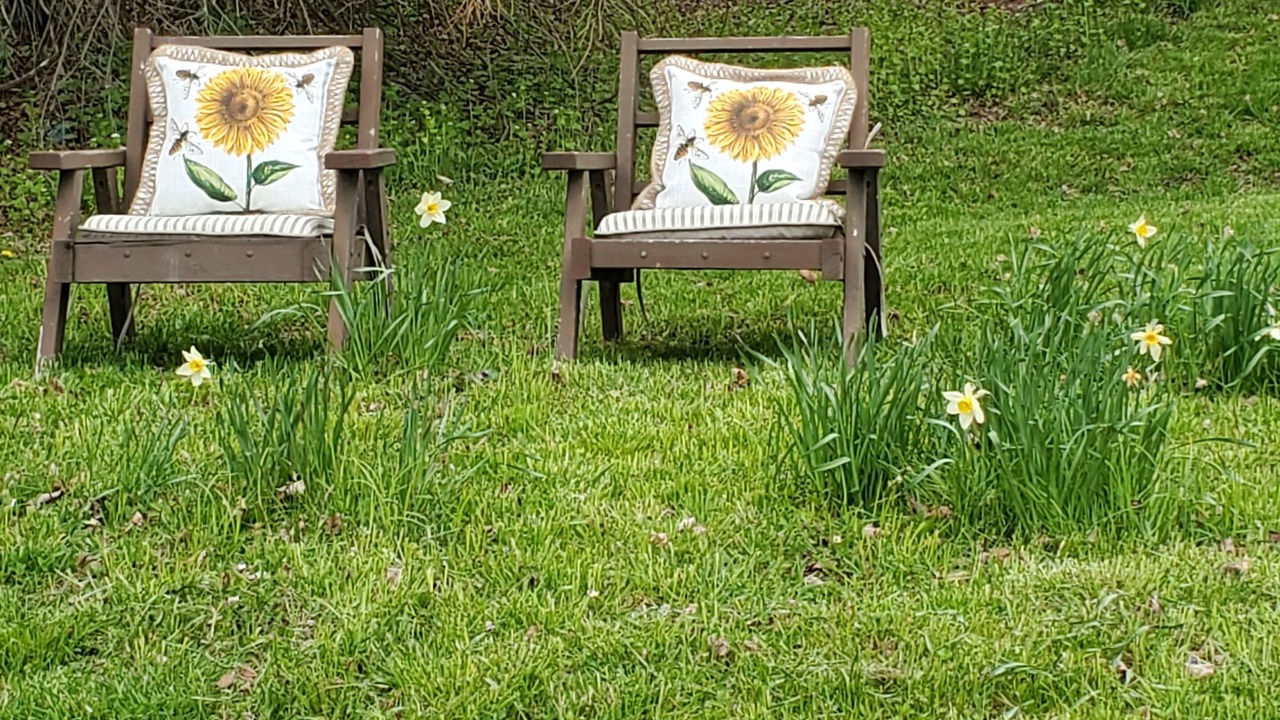 Photo of Outdoor in Honesdale