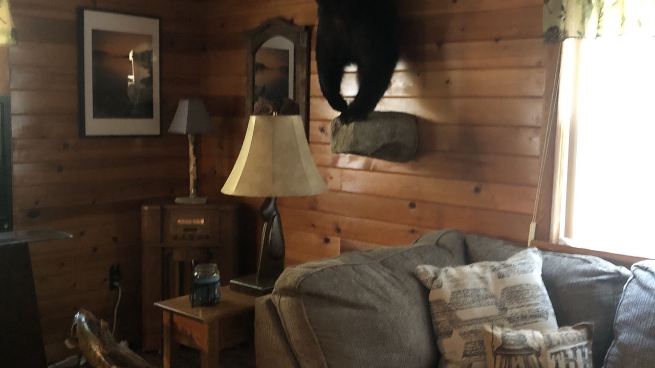 Photo of Livingroom in Laporte
