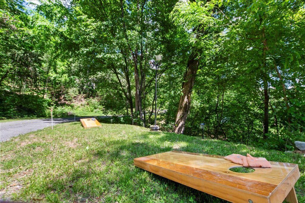 Photo of Outdoor in Sharps Chapel