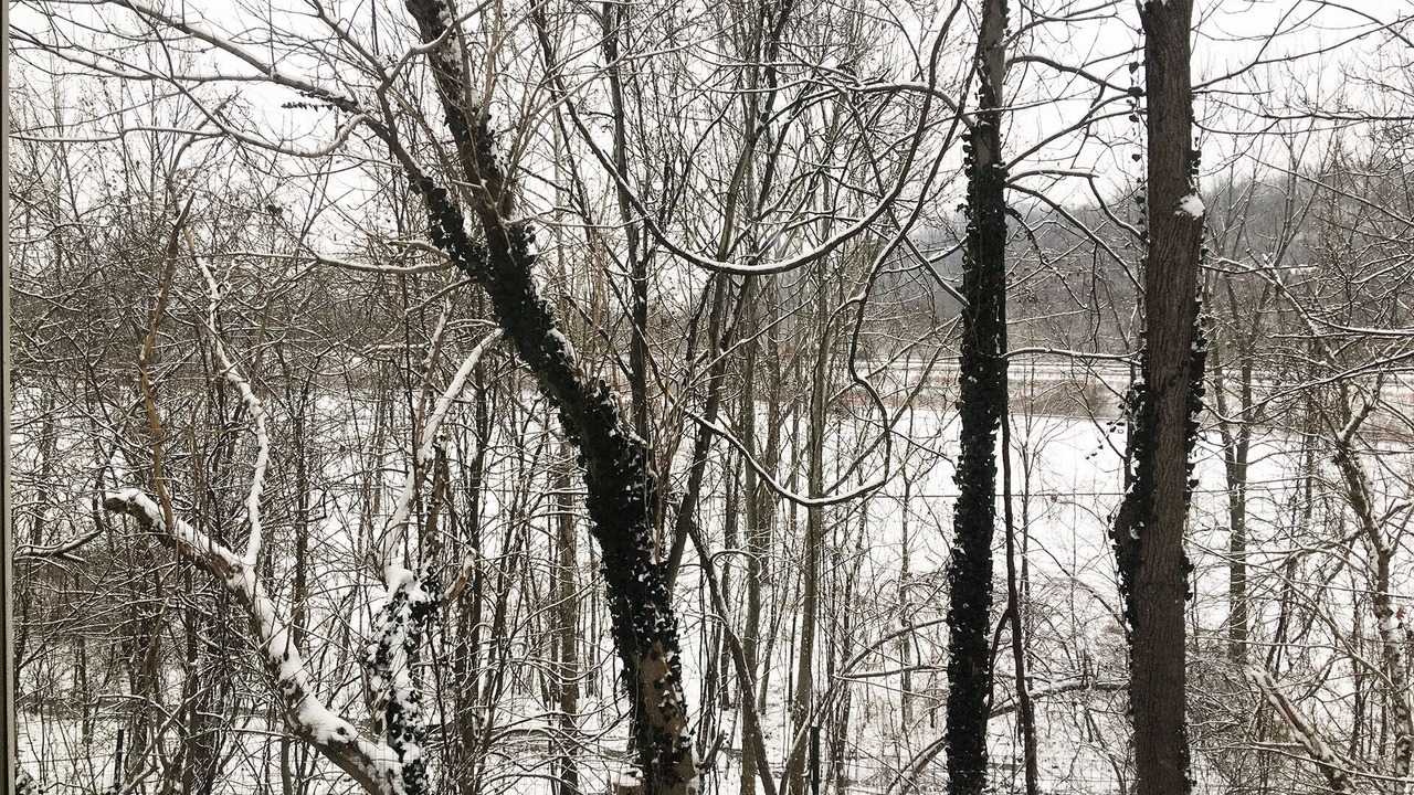 Photo of Others in Marietta