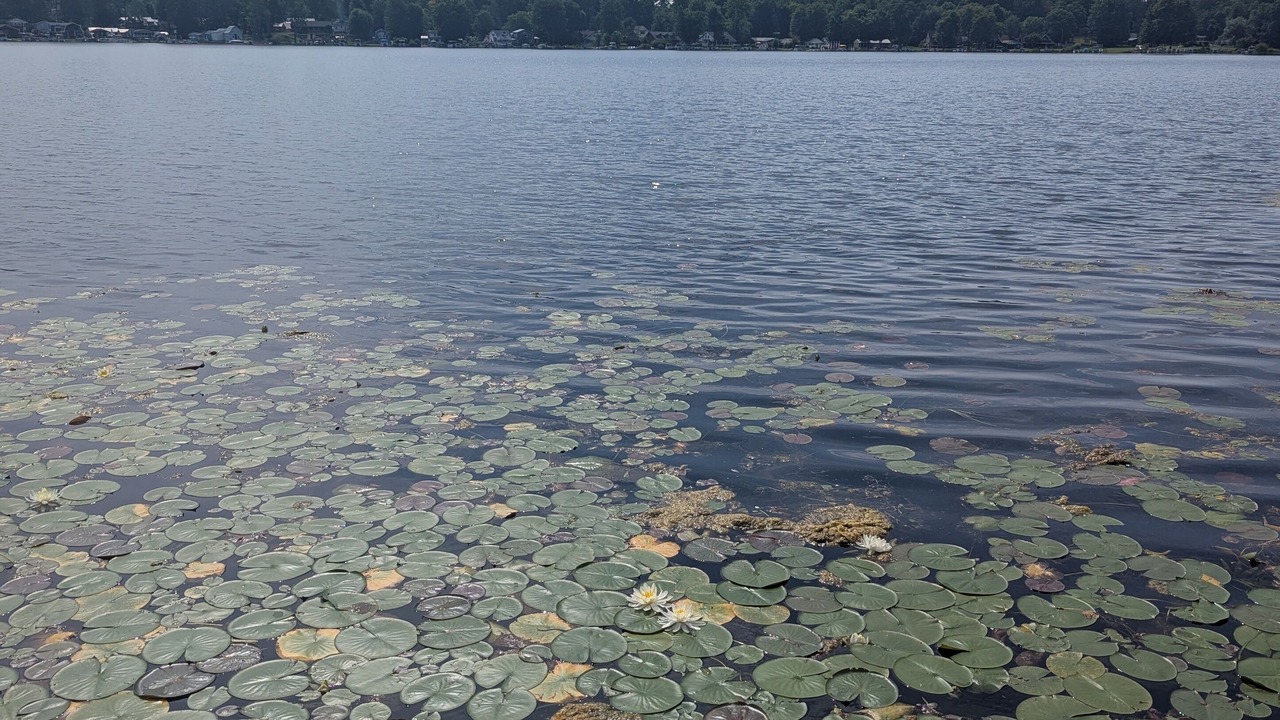 Photo of Others in Canadohta Lake